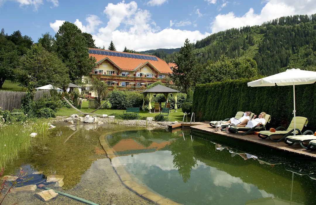 Roho Murau Hotel Rosenhof Murau-1